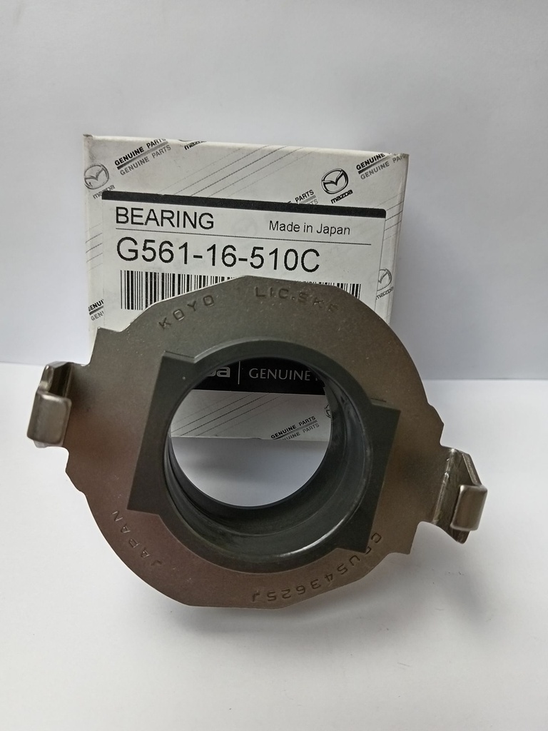 G56116510C.jpg
