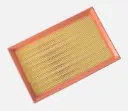 FILTRO DE AIRE CHANGAN CS55 1.5 2018-