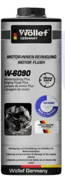 LAVADOR INTERIOR DE MOTOR FLUSH 325 ML 12/1